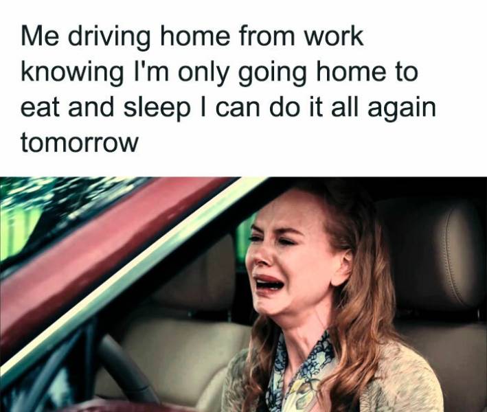 47 Work Memes & Jokes