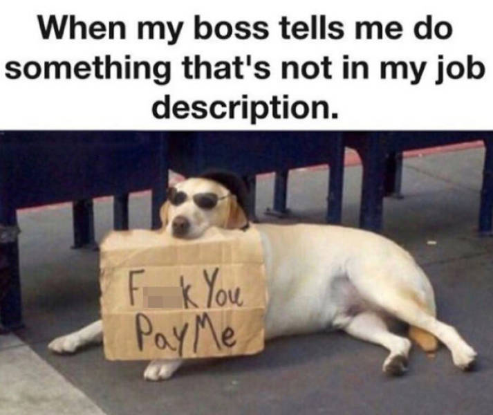 47 Work Memes & Jokes