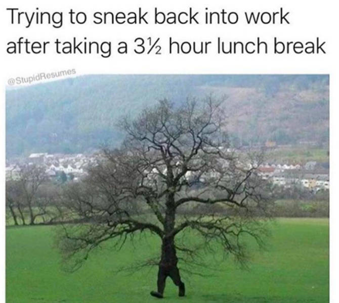 47 Work Memes & Jokes