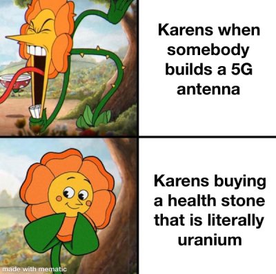 34 Karen Memes & Pics