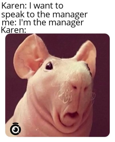 34 Karen Memes & Pics