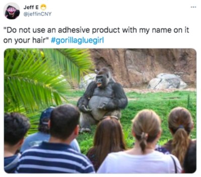 29 Gorilla Glue Girl Memes