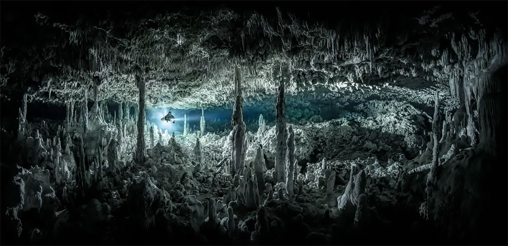 Wide angle category runner-up. Gothic Chamber by Martin Broen (US), taken in Cenote Monkey Dust, Mexico.