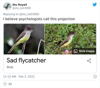 28 Birds That Were Given Horrible Names