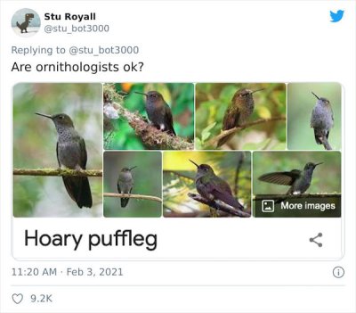 28 Birds That Were Given Horrible Names