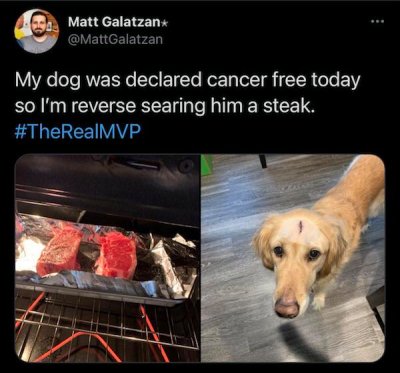 cancer free dog steak - Matt Galatzan My dog was declared cancer free today so I'm reverse searing him a steak.