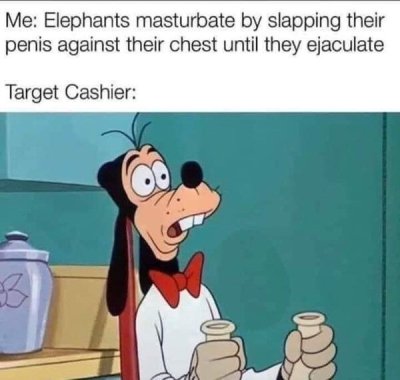 dank dark humor memes dark memes - Me Elephants masturbate by slapping their penis against their chest until they ejaculate Target Cashier om