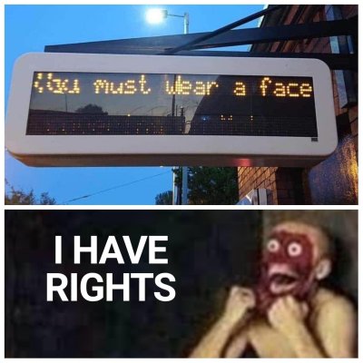 you must wear a face i have rights meme - Ki must wear a face I Have Rights