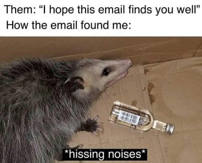 funny possum - Them I hope this email finds you well How the email found me hissing noises