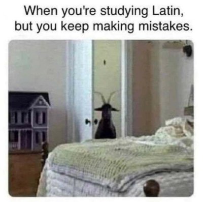 you re studying latin but keep making mistakes - When you're studying Latin, but you keep making mistakes.