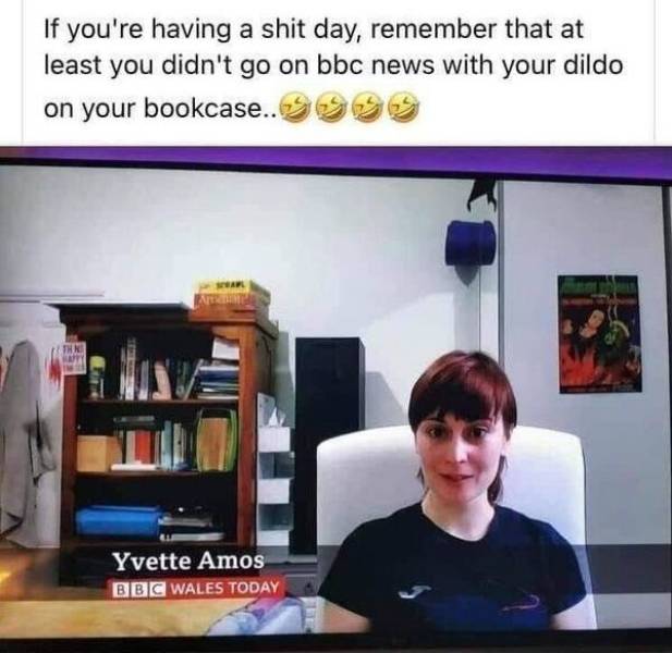 presentation - If you're having a shit day, remember that at least you didn't go on bbc news with your dildo on your bookcase.. A The Yvette Amos Bbc Wales Today