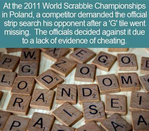 At the 2011 World Scrabble Championships in Poland, a competitor demanded the official strip search his opponent after a 'G' tile went missing. The officials decided against it due to a lack of evidence of cheating. W. E P Zio. G G2 Lo R A O\M, Nd, S. E A