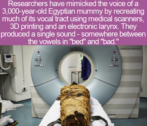 india in year 3000 - Researchers have mimicked the voice of a 3,000yearold Egyptian mummy by recreating much of its vocal tract using medical scanners, 3D printing and an electronic larynx. They produced a single sound somewhere between the vowels in "bed