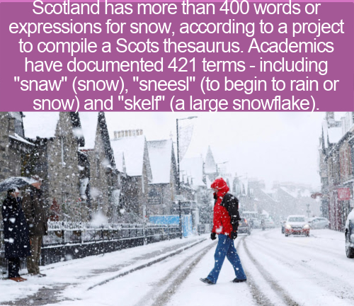 scotland weather snow - Scotland has more than 400 words or expressions for snow, according to a project to compile a Scots thesaurus. Academics have documented 421 terms including "snaw" snow, "sneesi" to begin to rain or snow and "skelf" a large snowfla