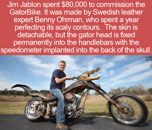 motorcycling - Jim Jablon spent $80,000 to commission the GatorBike. It was made by Swedish leather expert Benny Ohrman, who spent a year perfecting its scaly contours. The skin is detachable, but the gator head is fixed permanently into the handlebars wi