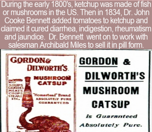During the early 1800's, ketchup was made of fish or mushrooms in the Us. Then in 1834, Dr. John Cooke Bennett added tomatoes to ketchup and claimed it cured diarrhea, indigestion, rheumatism and jaundice. Dr. Bennett went on to work with salesman…