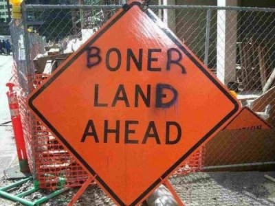 vandalised signs - Boners Land Ahead Coro