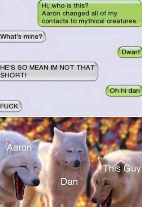 laughing wolves meme - Hi, who is this? Aaron changed all of my contacts to mythical creatures. What's mine? Dwart He'S So Mean Im Not That Short! Oh hi dan Fuck Aaron This Guy Dan