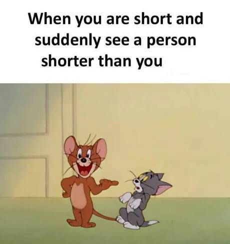 funny clean memes - When you are short and suddenly see a person shorter than you