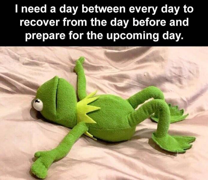 funny kermit the frog memes - I need a day between every day to recover from the day before and prepare for the upcoming day.