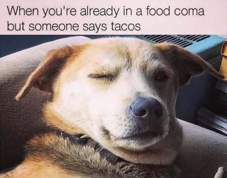 Humour - When you're already in a food coma but someone says tacos