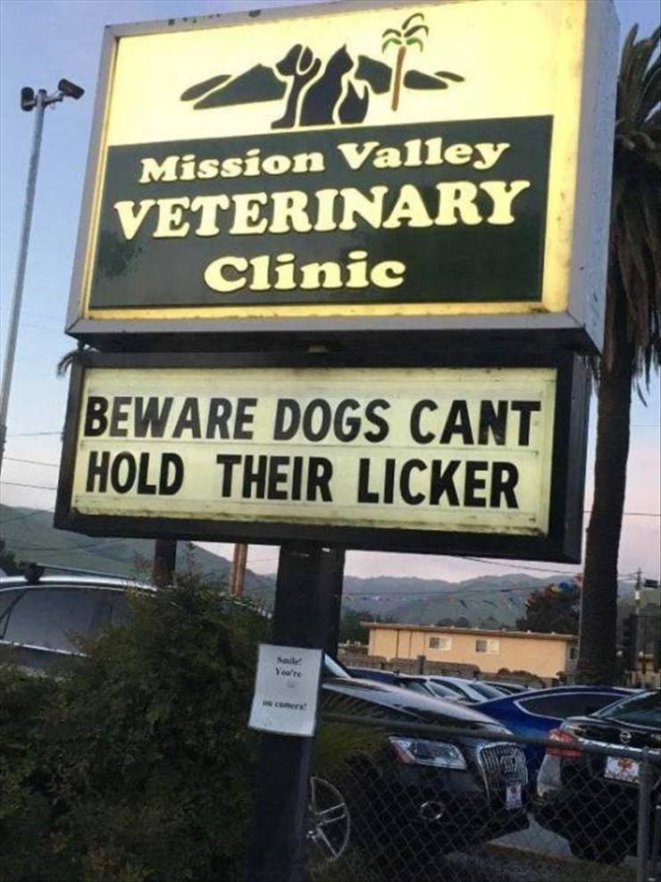 street sign - Mission Valley Veterinary Clinic Beware Dogs Cant Hold Their Licker Year