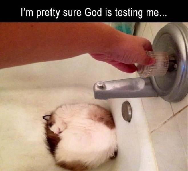 funny god and me memes - I'm pretty sure God is testing me...