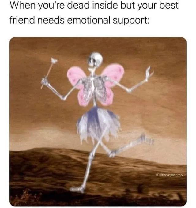 you re dead inside meme - When you're dead inside but your best friend needs emotional support of Ig Ghorriyshrimp