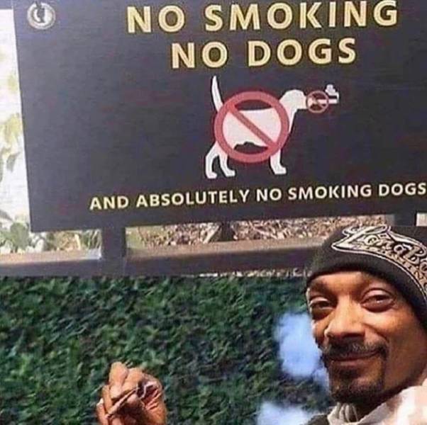 snoop dogg meme - No Smoking No Dogs And Absolutely No Smoking Dogs