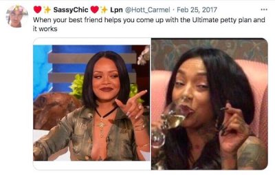 funny marriage memes - SassyChic Lpn . When your best friend helps you come up with the Ultimate petty plan and it works >
