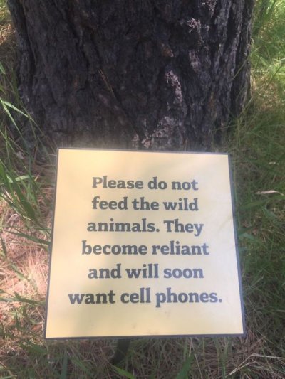 tree - Please do not feed the wild animals. They become reliant and will soon want cell phones.
