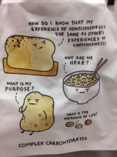 funny thoughts on science - How Do I Know That My Experience Of Consciousness The Same As Other'S Experiences Of Consciousness? Why Are We Here? What Is My Purpose? What Is The Meaning Of Life! Complex Carbohydrates