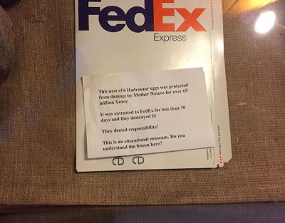 FedEx Express This sest of 6 Hadresaures was yrobetod from damage by Mother Nerfor er 65 w Years It was estrusted to FedEx for has 10 days and they destroyed ! They dealed reality! This is sucationalmuseum. Do you understand the lesson bere D D