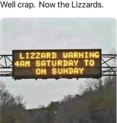lizzard warning - Well crap. Now the Lizzards. Lizzard Warning 4AM Saturday To On Sunday