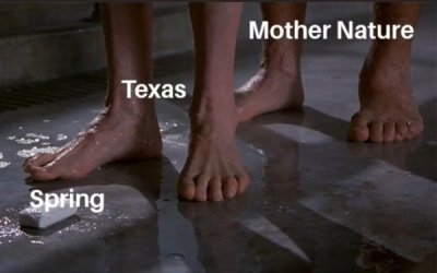 depression meme template - Mother Nature Texas Spring