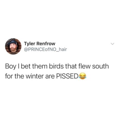 2 squared joke - Tyler Renfrow NO_hair Boy I bet them birds that flew south for the winter are Pissed