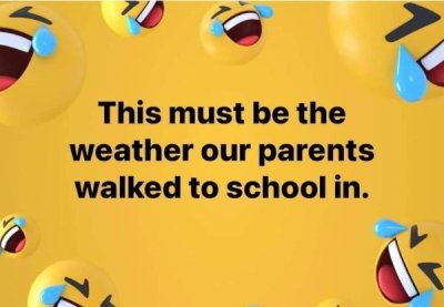 banner - This must be the weather our parents walked to school in.