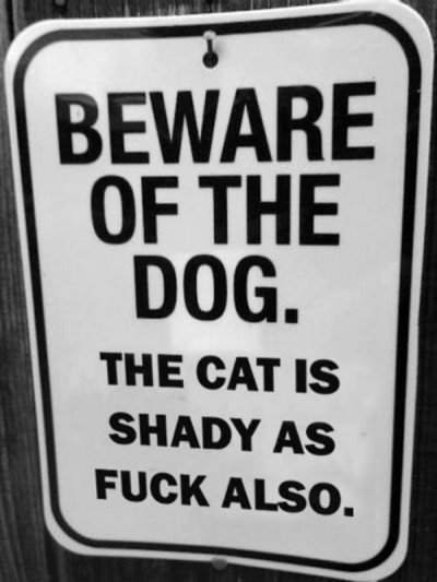 sign - Beware Of The Dog. The Cat Is Shady As Fuck Also.
