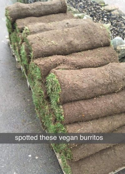 vegan burritos meme - spotted these vegan burritos
