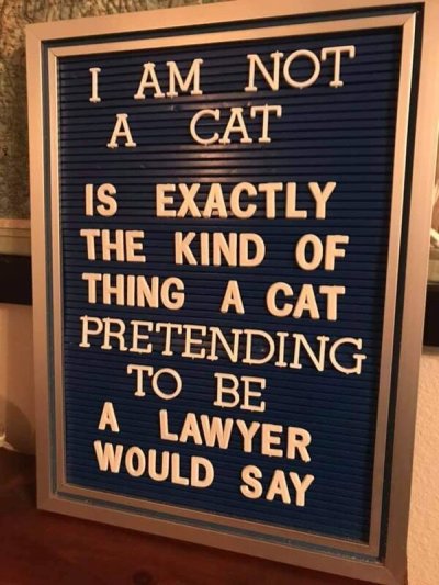 Lawyer - I Am Not A Cat Is Exactly The Kind Of Thing A Cat Pretending To Be A Lawyer Would Say