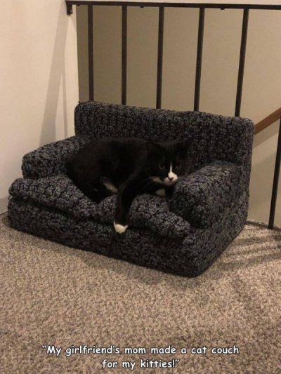 couch - "My girlfriend's mom made a cat couch for my kitties!"