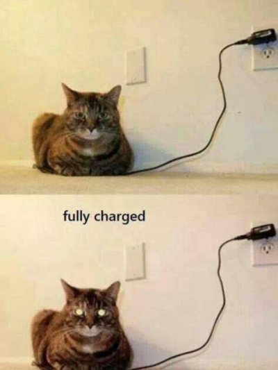 cat fully charged meme - fully charged