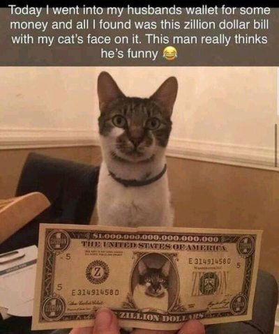 1 quintillion dollars - Today I went into my husbands wallet for some money and all I found was this zillion dollar bill with my cat's face on it. This man really thinks he's funny Bilbon S1000.000.000.000.000.000 The United States Of Americe 5 E 31491458