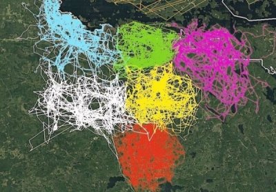 voyageurs national park wolf tracking