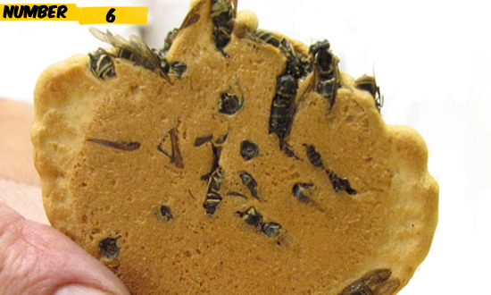 wasp crackers - Number