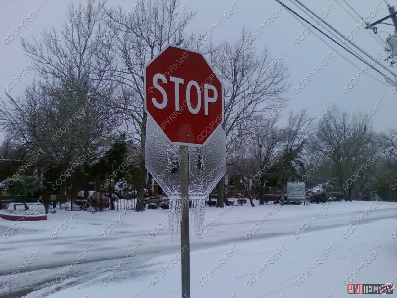 This is a pic I took in the snow and ice storm in January