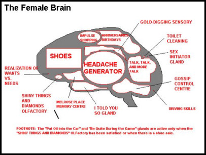The Female Brain vs The Male Brain