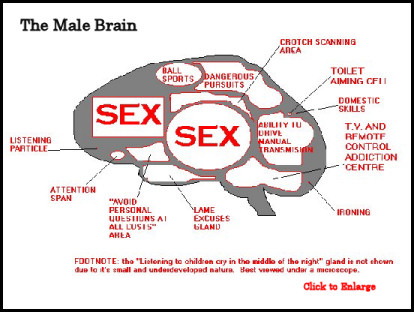 The Female Brain vs The Male Brain