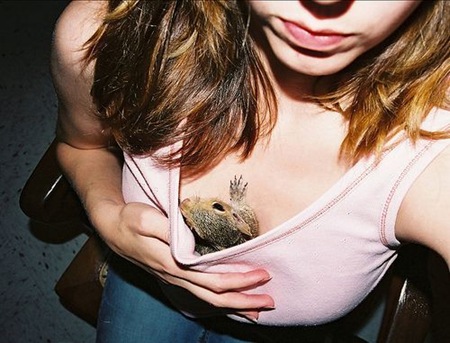 Small Furry Animals And Boobs