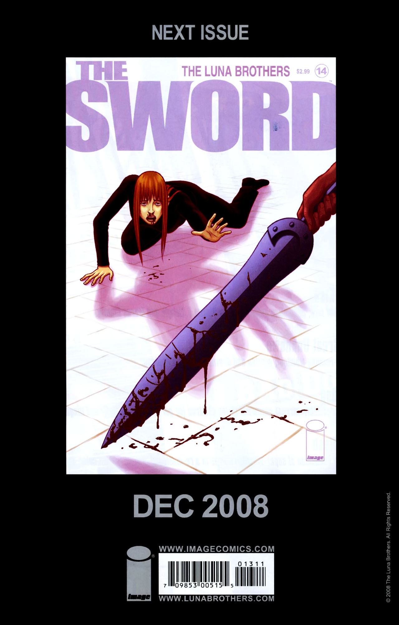 The Sword #13